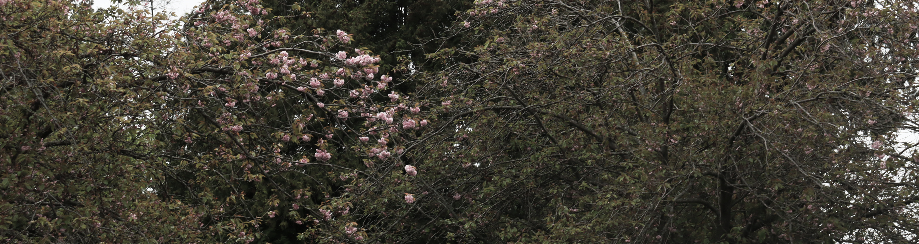 Portfolio Second slide